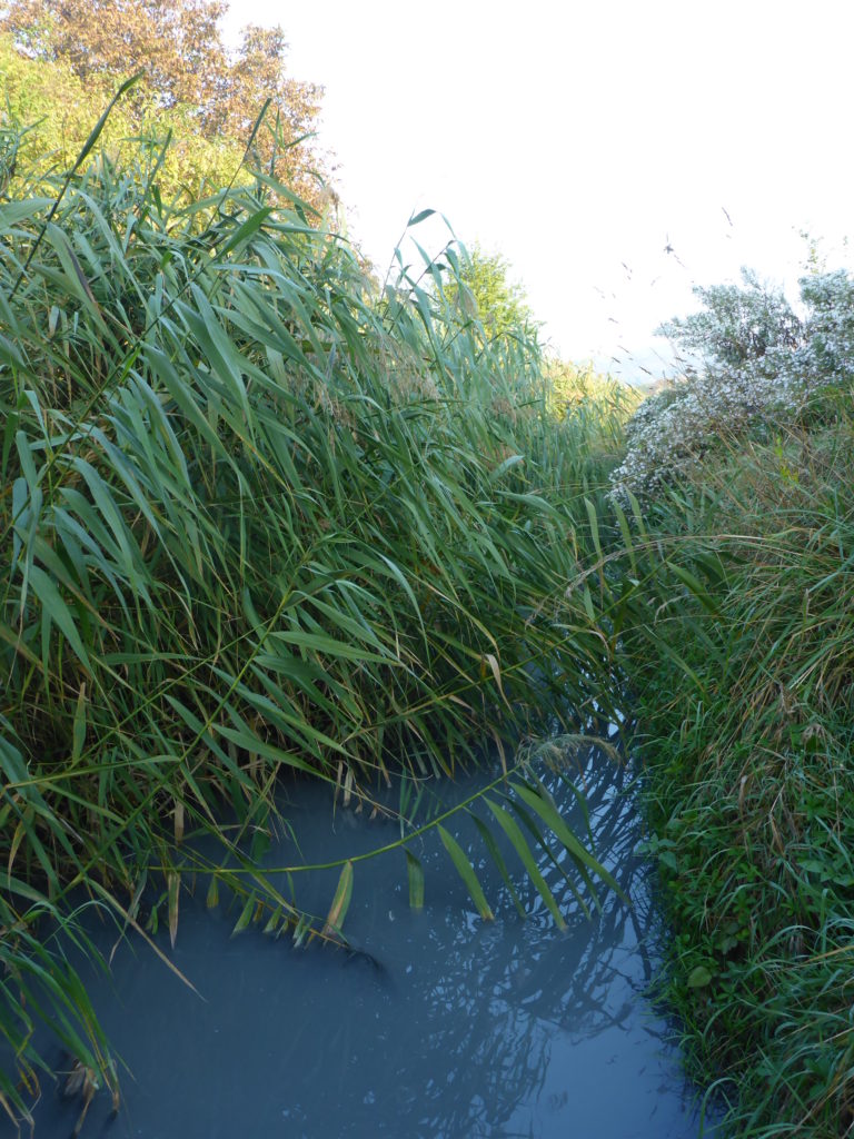 Přečtete si více ze článku Za hydrologickými krásami Kyjovska…